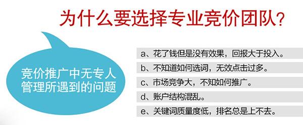 為什么要選擇專業(yè)競(jìng)價(jià)團(tuán)隊(duì)?